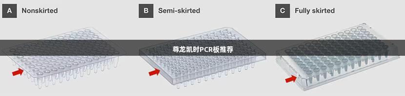 尊龙凯时PCR板推荐