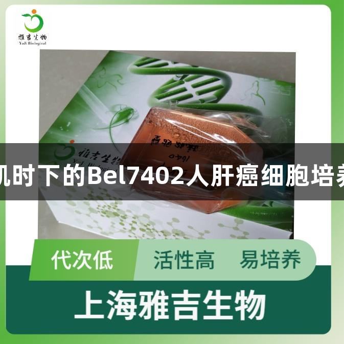 尊龙凯时下的Bel7402人肝癌细胞培养方法