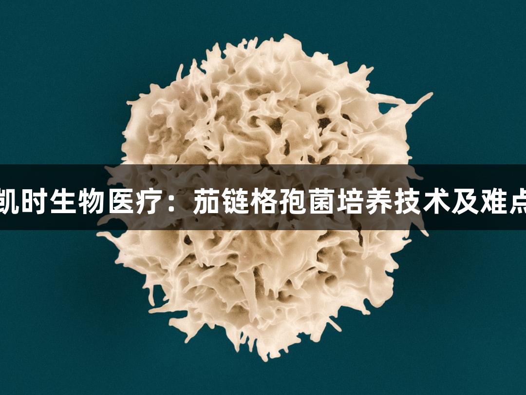 尊龙凯时生物医疗：茄链格孢菌培养技术及难点分析