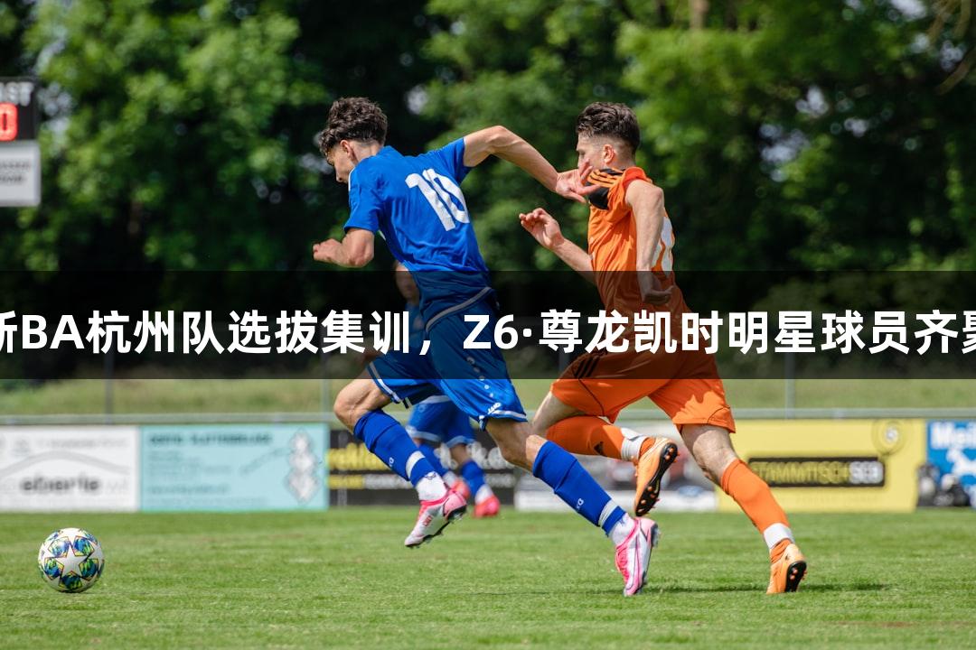 浙BA杭州队选拔集训，Z6·尊龙凯时明星球员齐聚