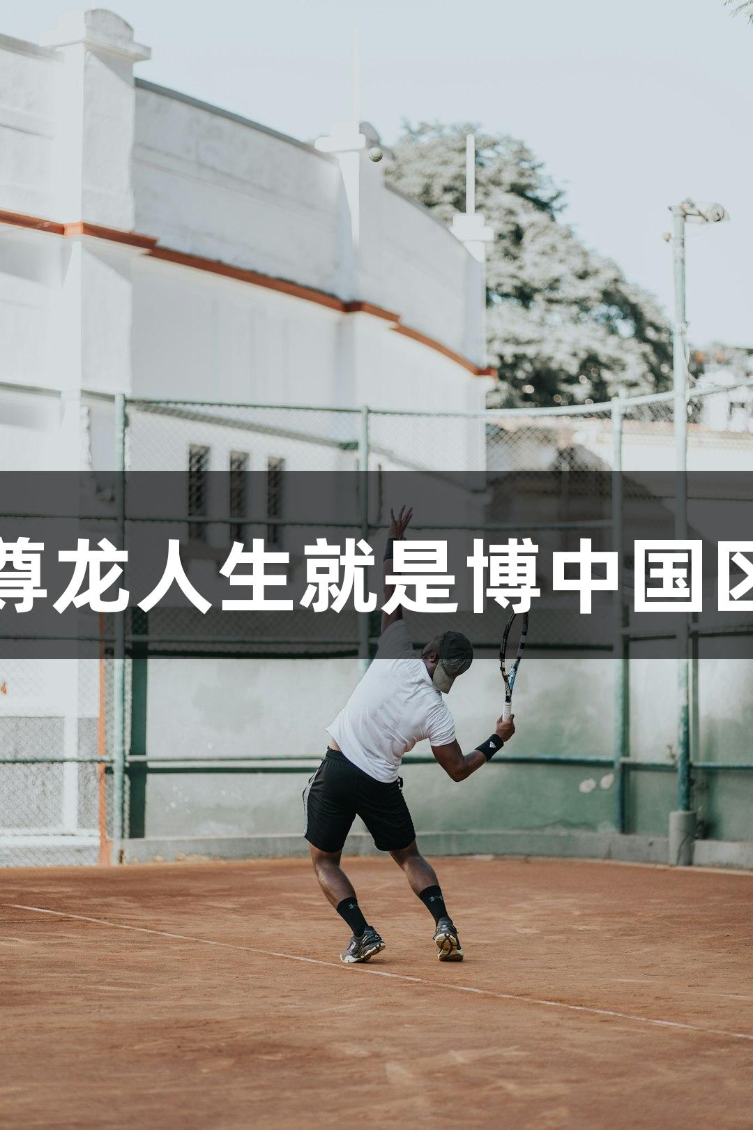 大连英博球迷尊龙人生就是博中国区远征天津观赛