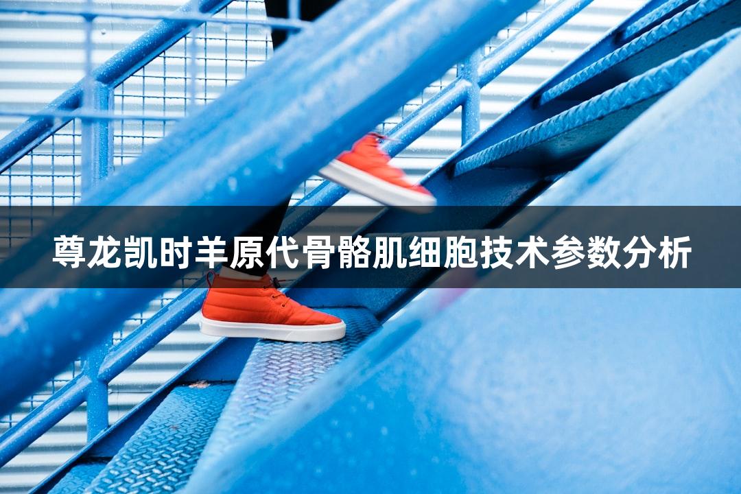 尊龙凯时羊原代骨骼肌细胞技术参数分析