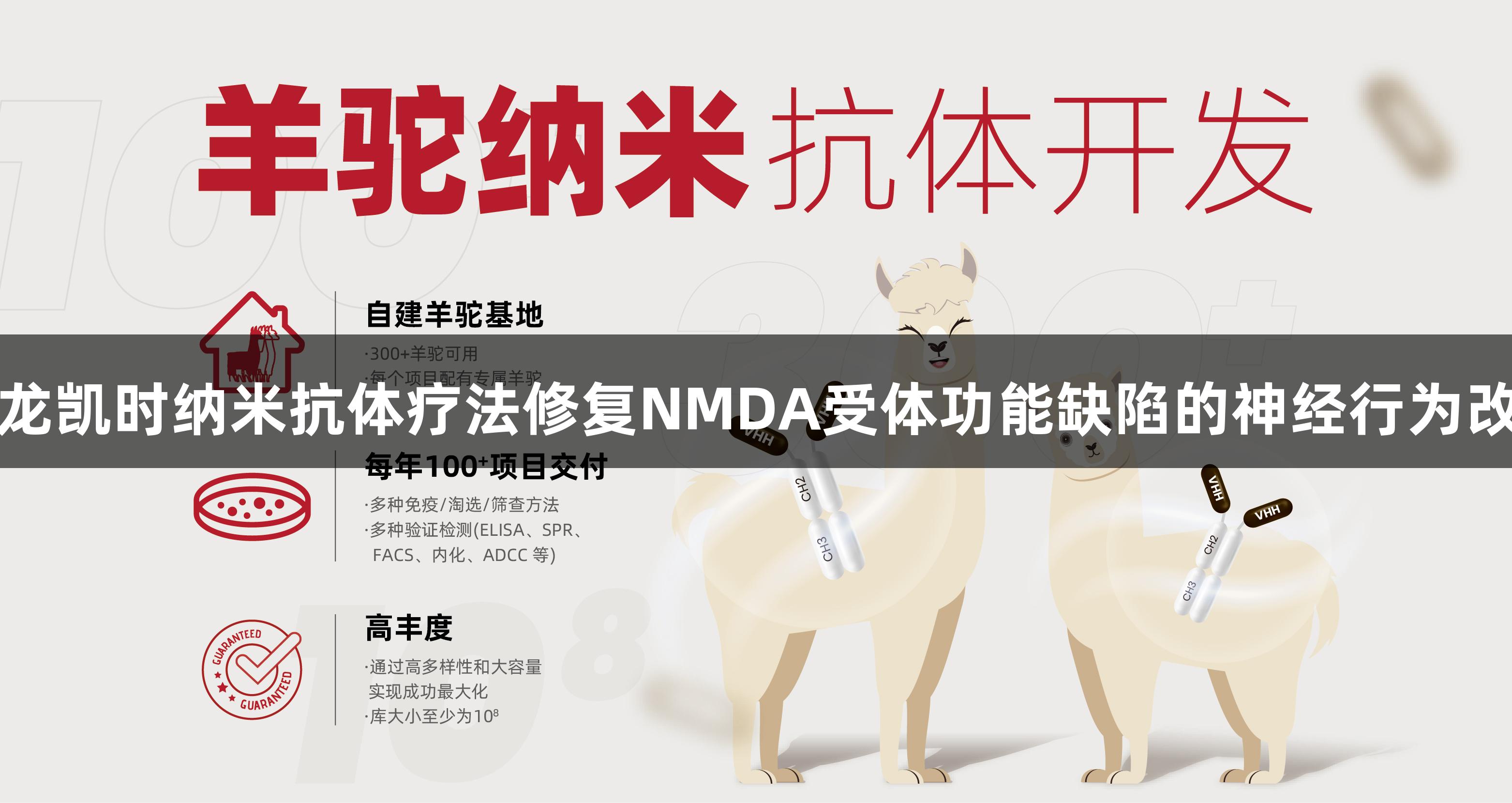 尊龙凯时纳米抗体疗法修复NMDA受体功能缺陷的神经行为改善