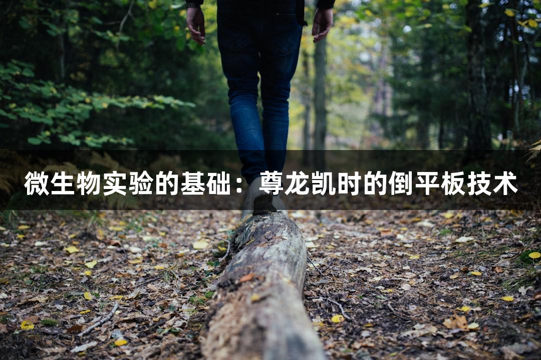 微生物实验的基础：尊龙凯时的倒平板技术
