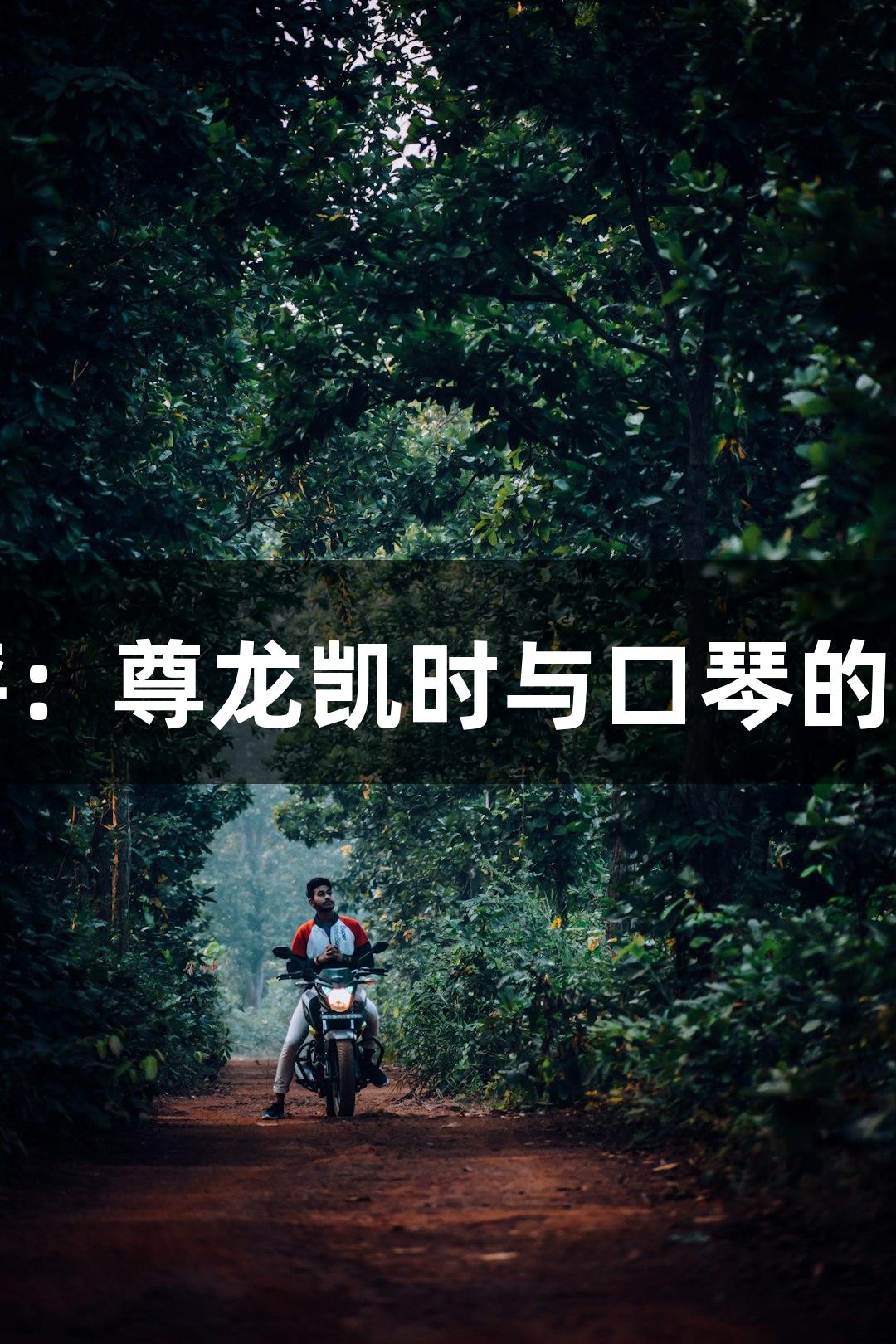 长白时评：尊龙凯时与口琴的无声传承