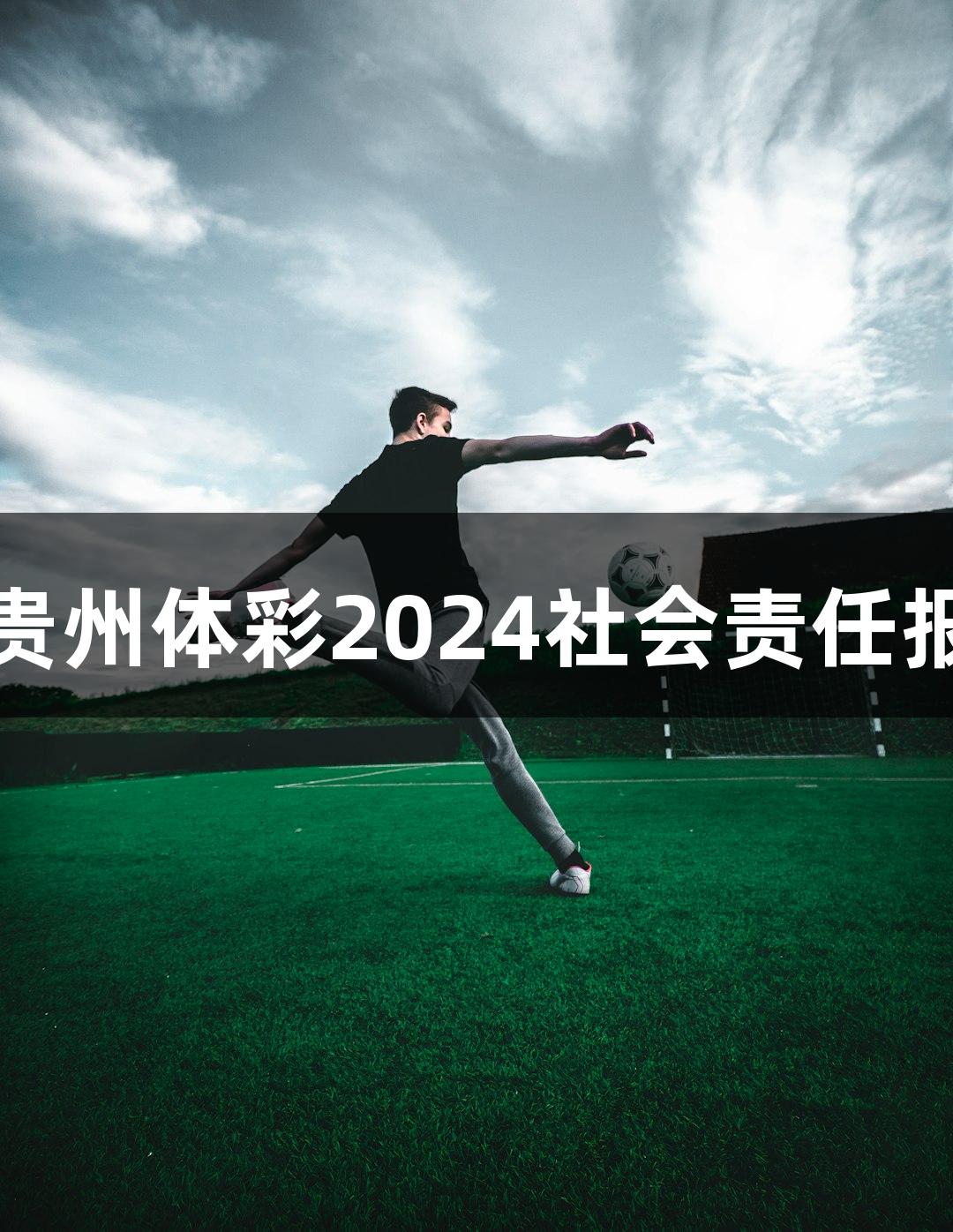 俄罗斯贵宾会：贵州体彩2024社会责任报告展现五大亮点