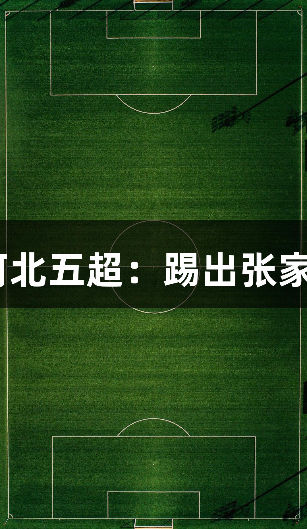 张家口29岁球员信心满满征战河北五超：踢出张家口气势，人生就是博-尊龙凯时！