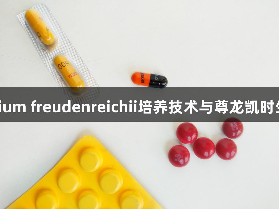 Propionibacterium freudenreichii培养技术与尊龙凯时生物医疗应用展望
