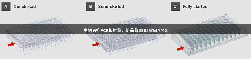 生物医疗PCR板推荐：新葡萄8883官网AMG
