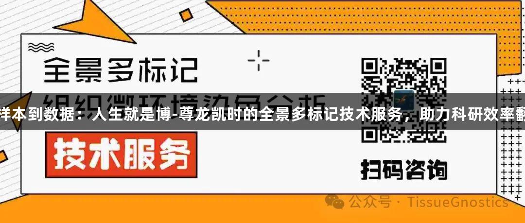 从样本到数据：人生就是博-尊龙凯时的全景多标记技术服务，助力科研效率翻倍