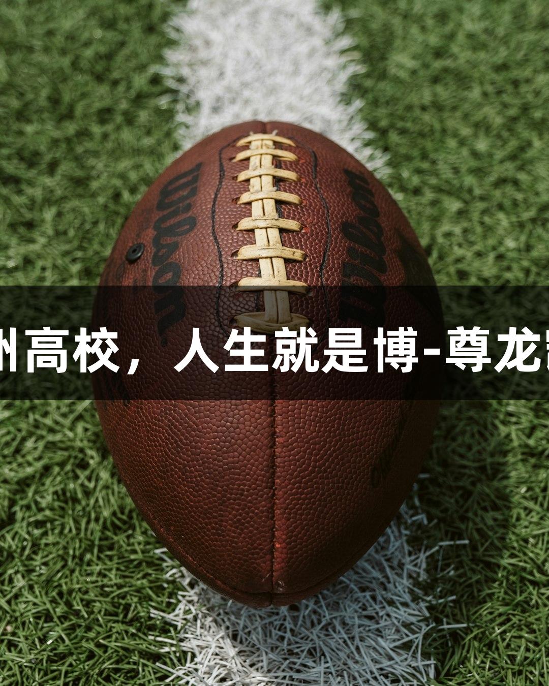 20多位“浙BA”球员齐聚杭州高校，人生就是博-尊龙凯时，让热爱与坚韧助力追梦！