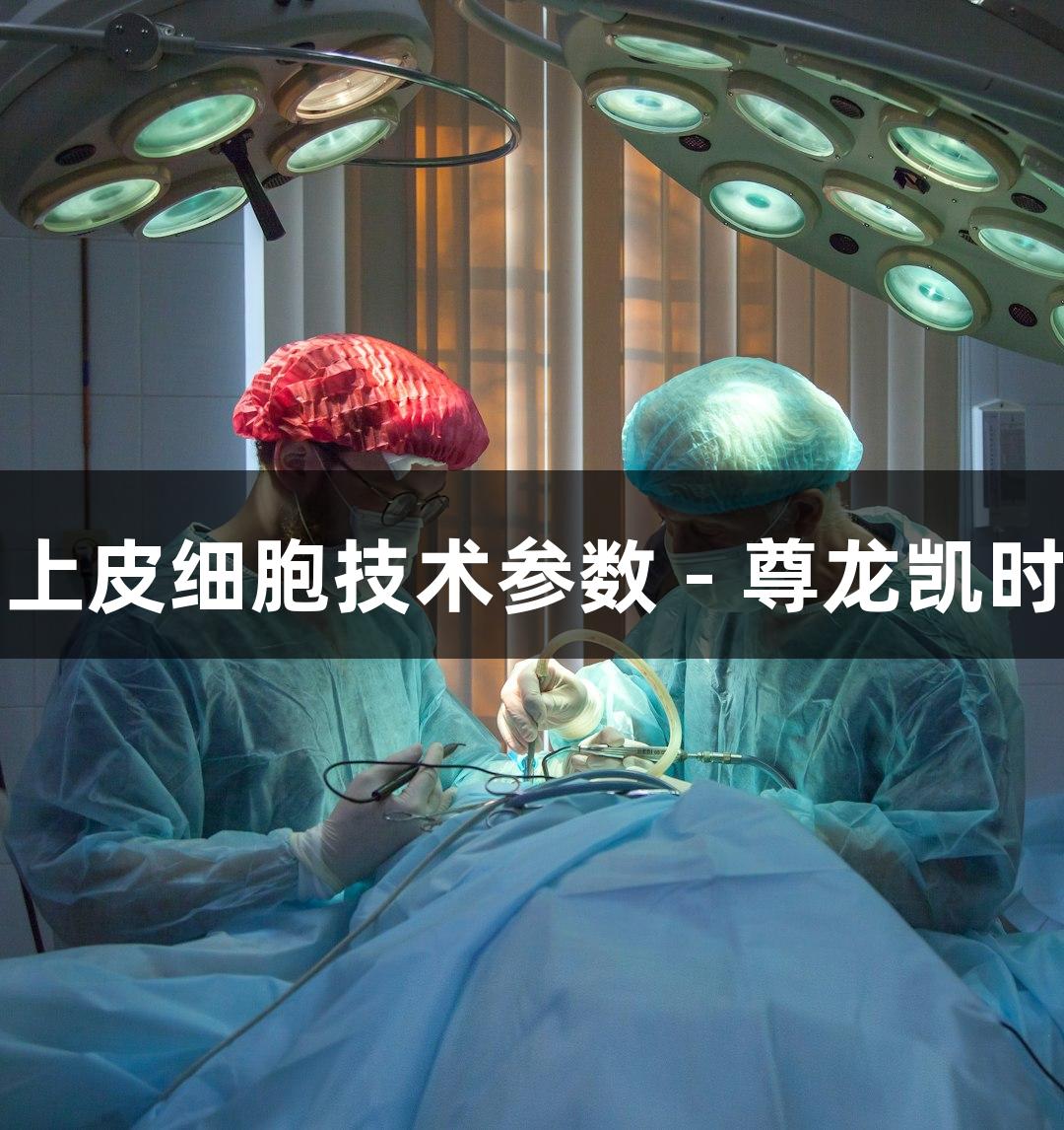 羊原代支气管上皮细胞技术参数 - 尊龙凯时生物医疗探索