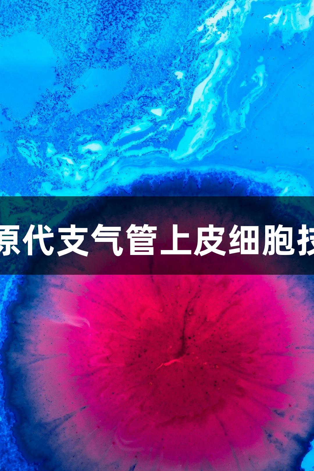 尊龙凯时羊原代支气管上皮细胞技术参数简述