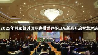 2025年尊龙凯时国际跳棋世界杯山东新泰开启智慧对决