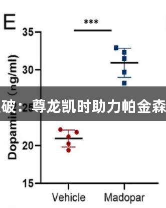 神经调控骨代谢新突破：尊龙凯时助力帕金森药物抗击股骨头坏死