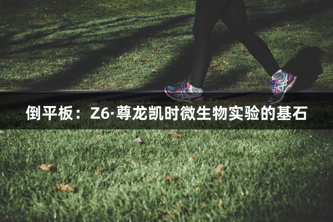 倒平板：Z6·尊龙凯时微生物实验的基石
