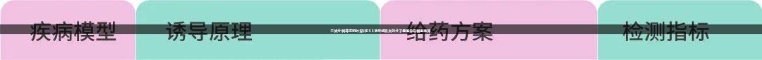 干货分享|尊龙凯时探讨DSS诱导结肠炎的分子量差异与模型选择