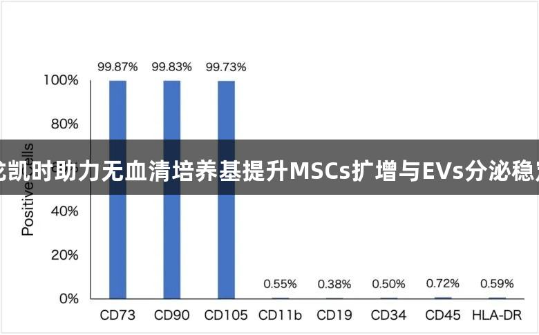 尊龙凯时助力无血清培养基提升MSCs扩增与EVs分泌稳定性