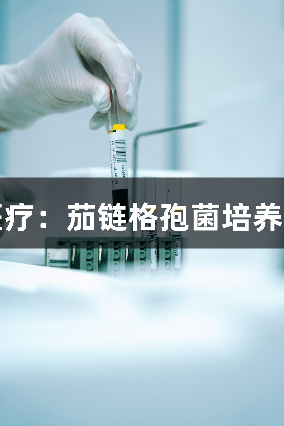 尊龙凯时生物医疗：茄链格孢菌培养技术及难点分析