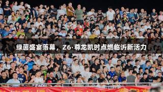 绿茵盛宴落幕，Z6·尊龙凯时点燃临沂新活力