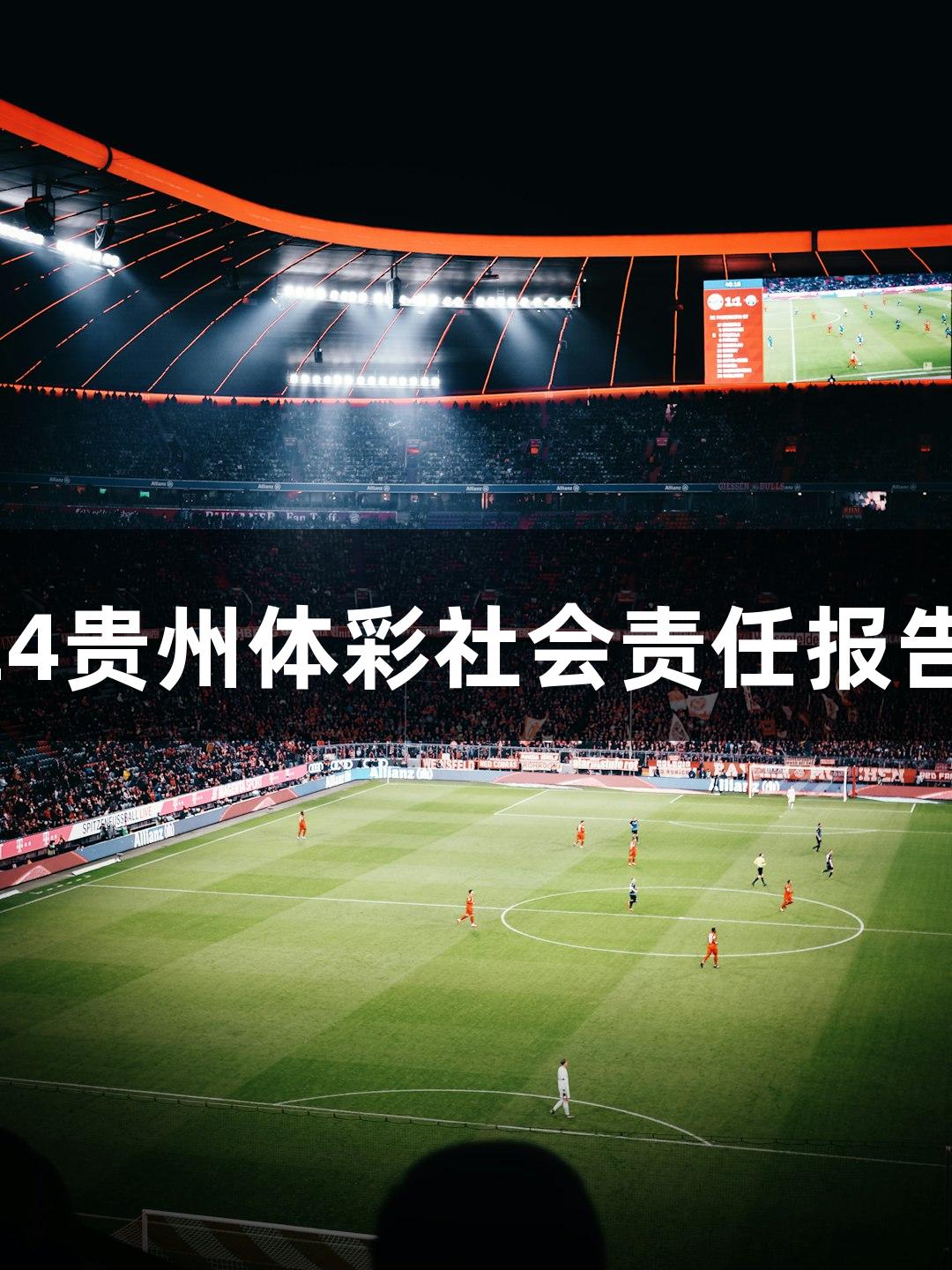 尊龙凯时：2024贵州体彩社会责任报告五大亮点展现。