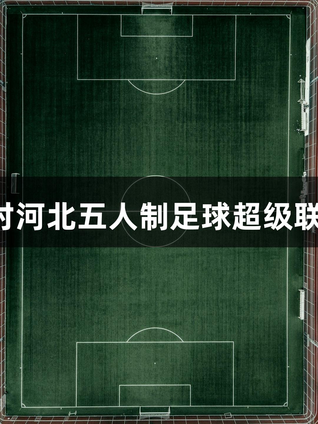 2025年尊龙凯时河北五人制足球超级联赛8月10日开幕