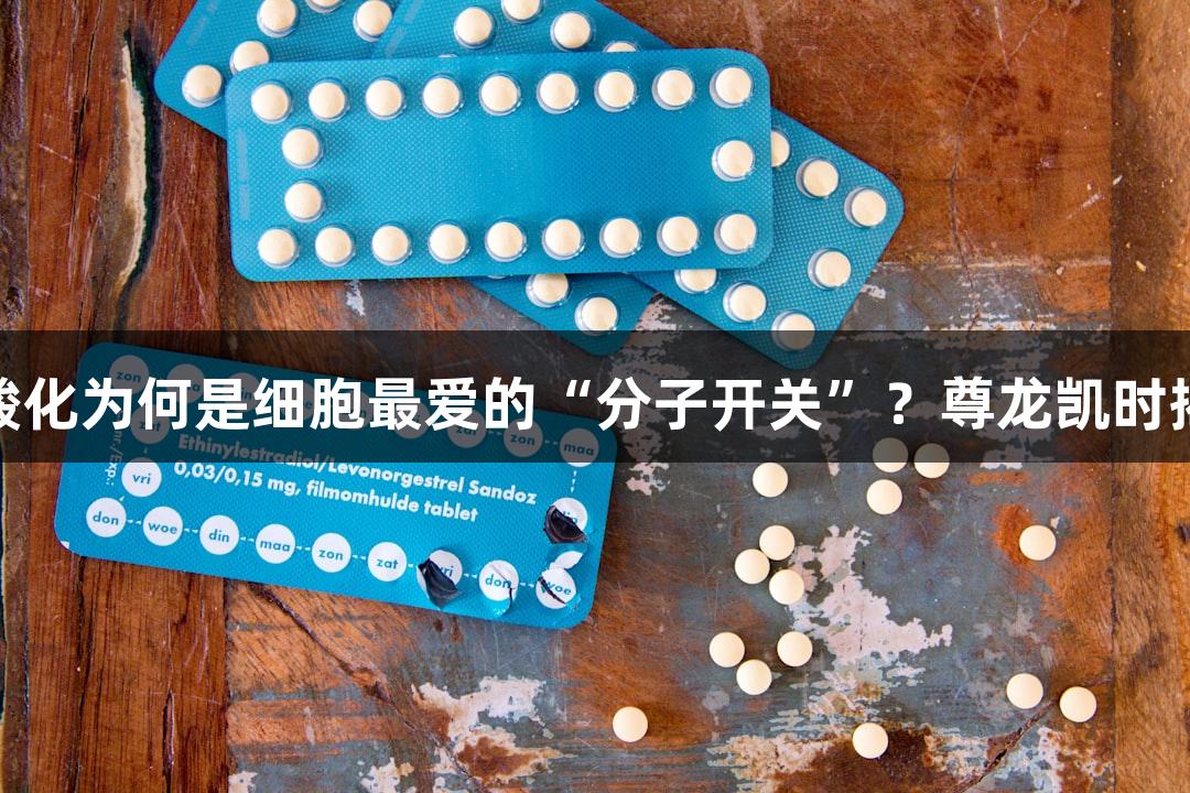 磷酸化为何是细胞最爱的“分子开关”？尊龙凯时揭秘