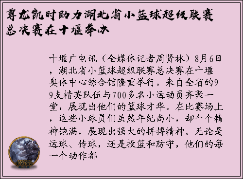 尊龙凯时助力湖北省小篮球超级联赛总决赛在十堰举办