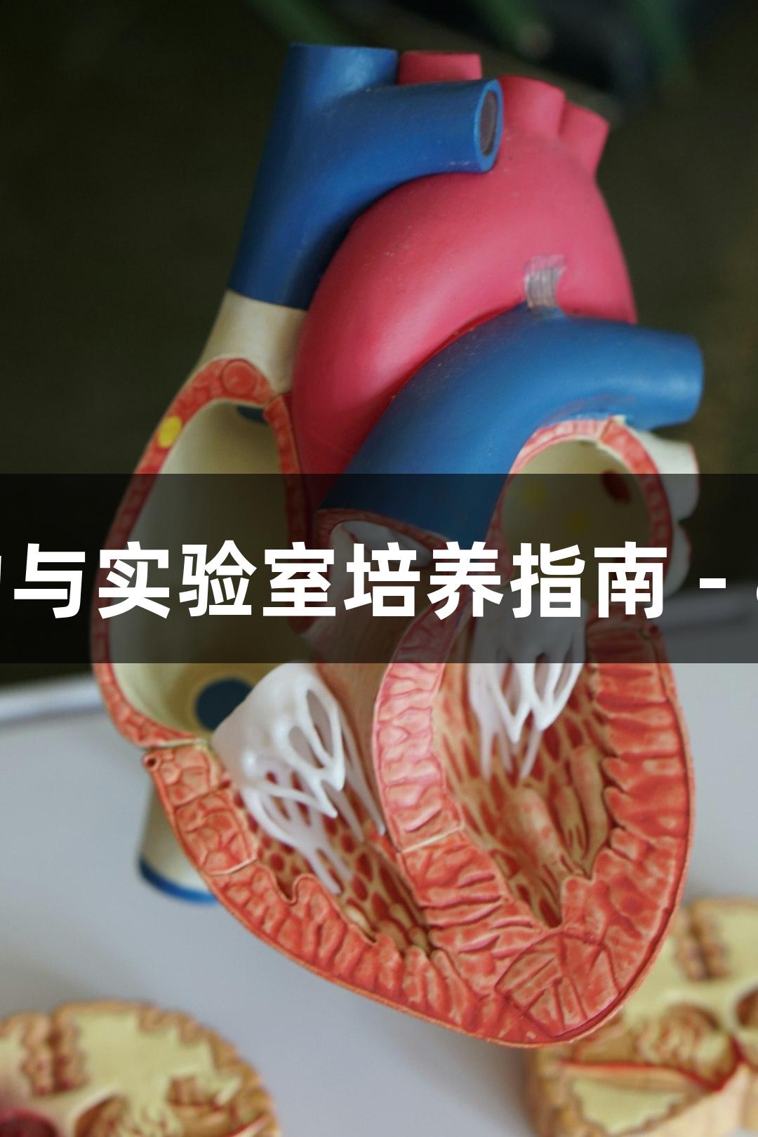 树脂枝孢霉的生物医疗潜力与实验室培养指南 - 88858cc永利官网带你探索