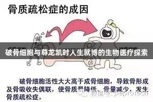 破骨细胞与尊龙凯时人生就博的生物医疗探索