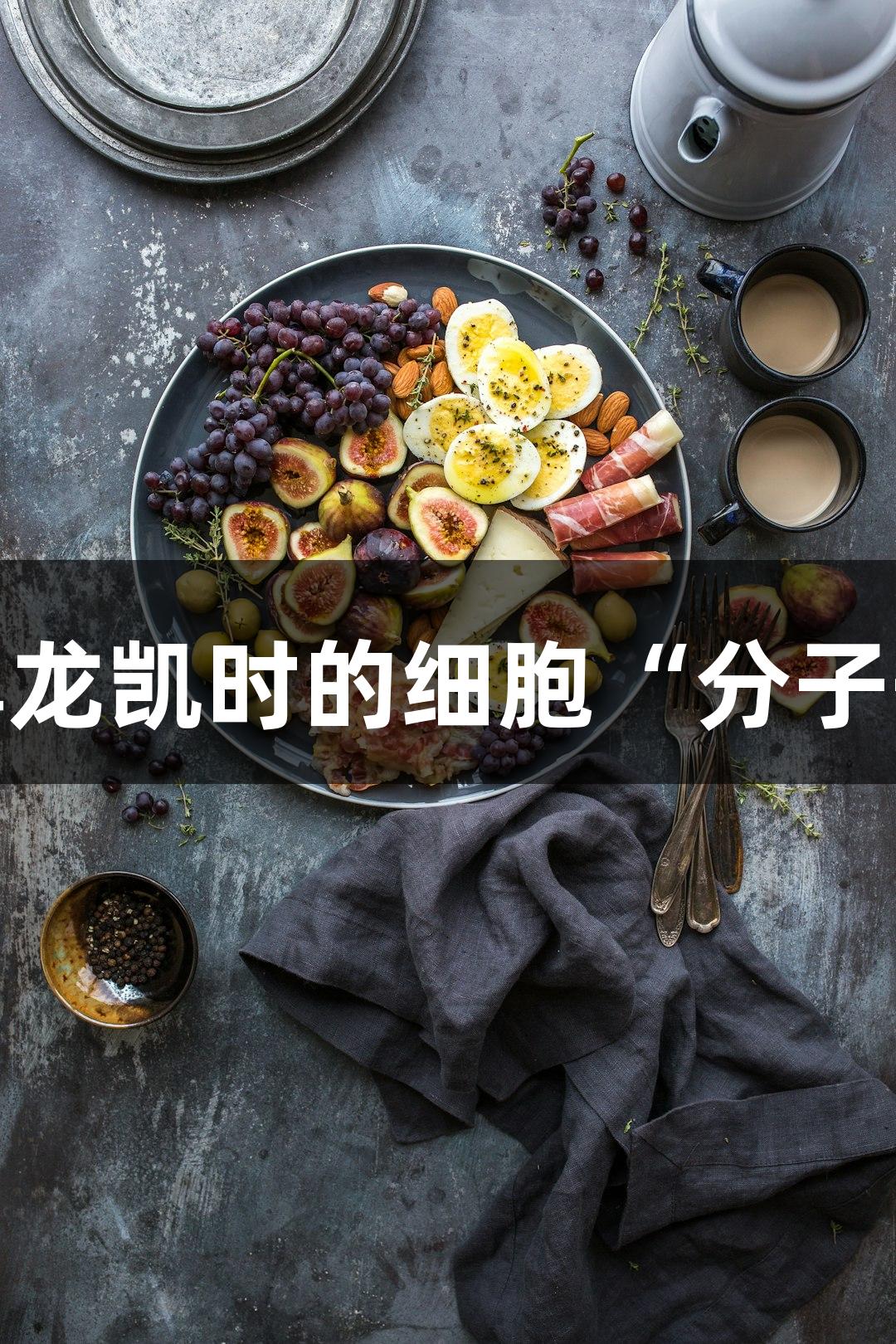 磷酸化：尊龙凯时的细胞“分子开关”之最
