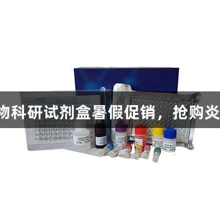 尊龙凯时生物科研试剂盒暑假促销，抢购炎炎夏日优惠！