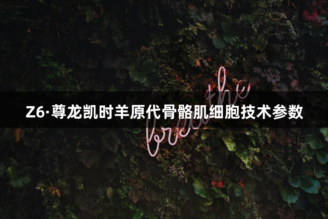 Z6·尊龙凯时羊原代骨骼肌细胞技术参数