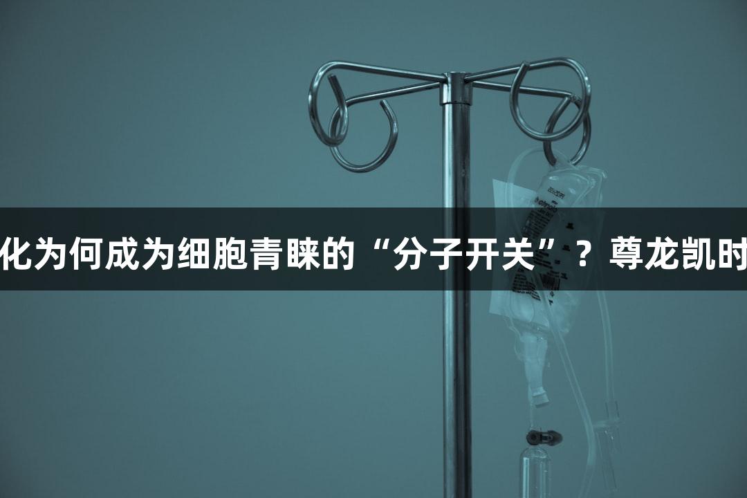磷酸化为何成为细胞青睐的“分子开关”？尊龙凯时解析