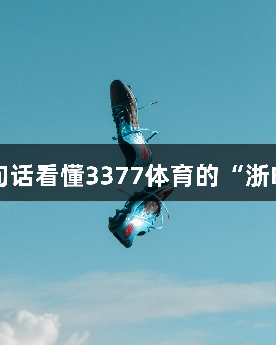 五句话看懂3377体育的“浙BA”