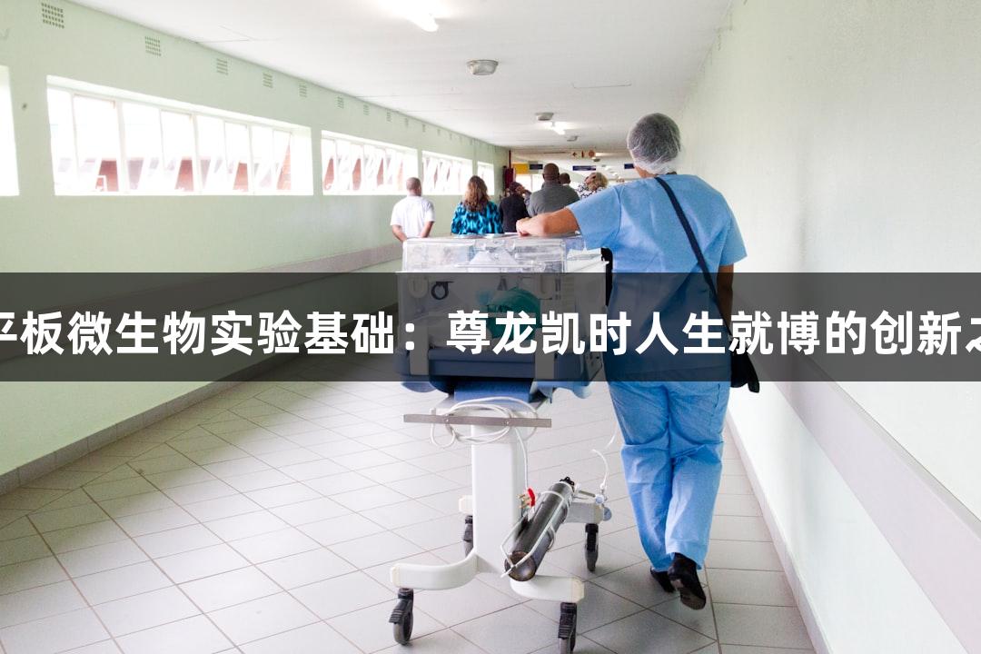 倒平板微生物实验基础：尊龙凯时人生就博的创新之路