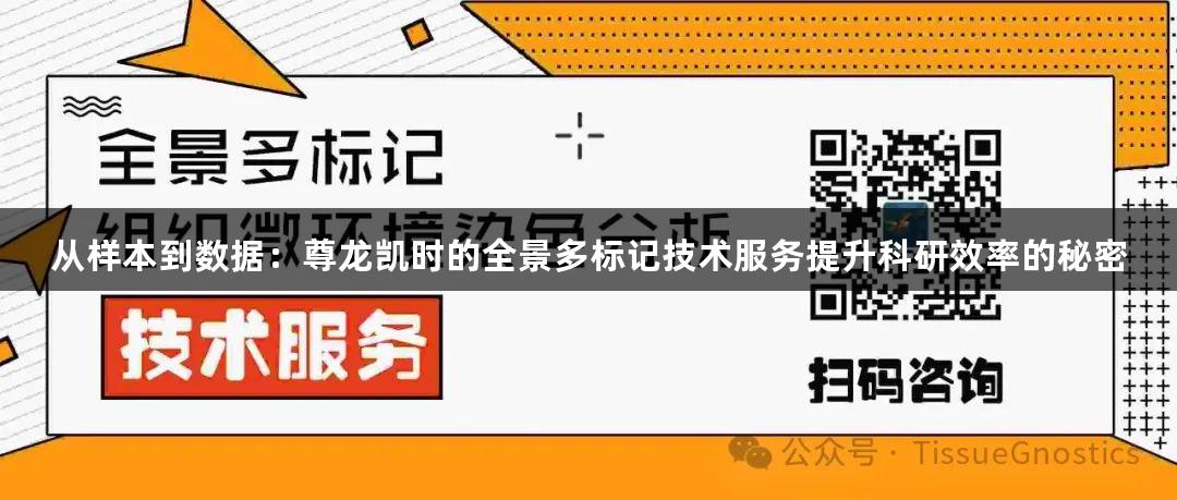 从样本到数据：尊龙凯时的全景多标记技术服务提升科研效率的秘密