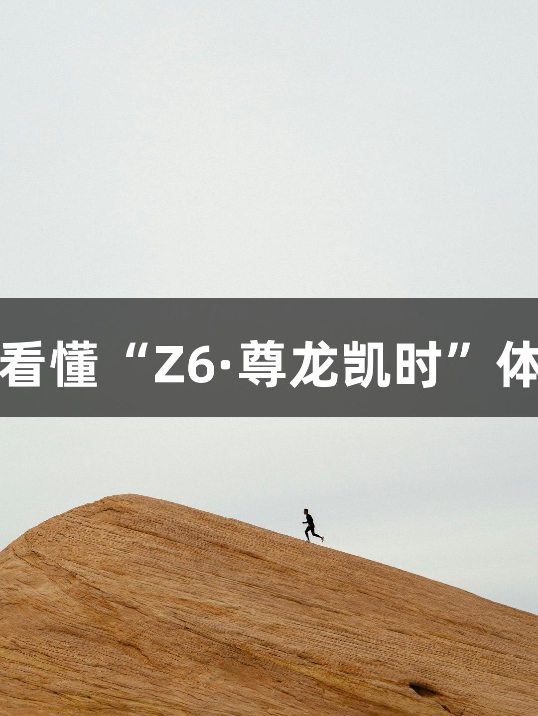 五句话看懂“Z6·尊龙凯时”体育品牌