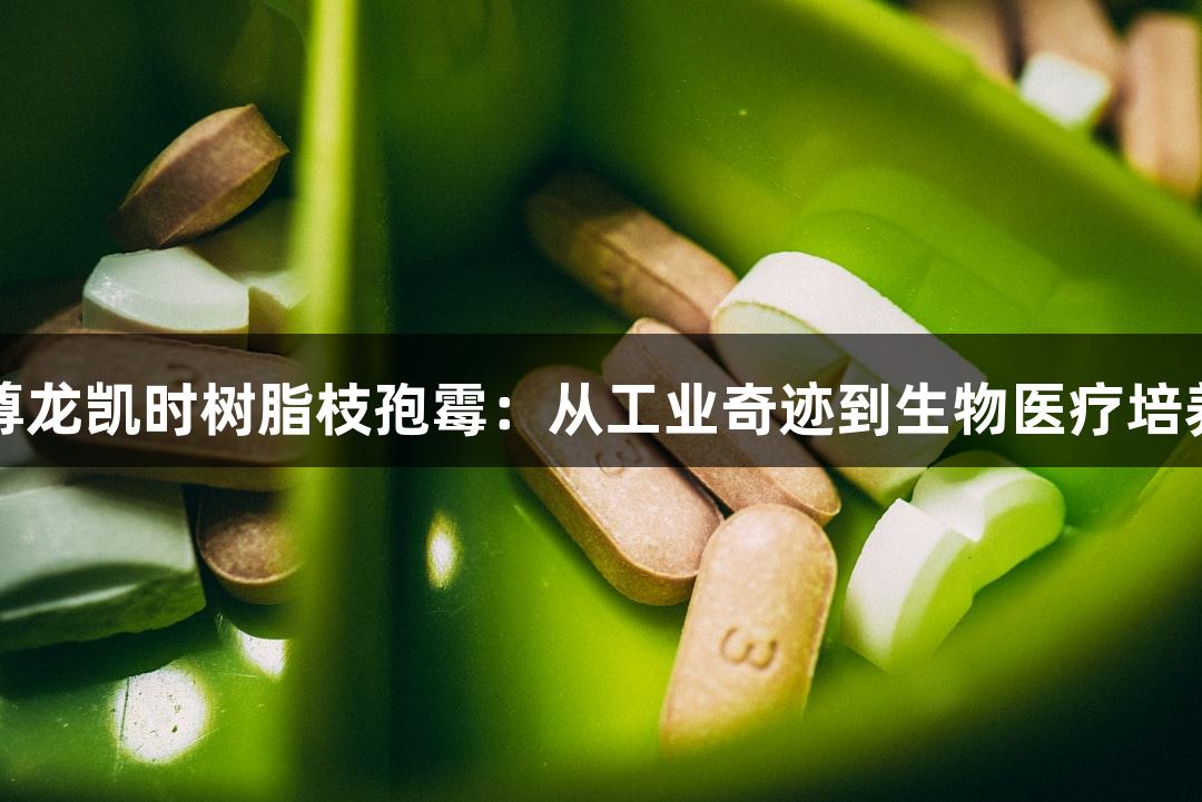 探秘尊龙凯时树脂枝孢霉：从工业奇迹到生物医疗培养指南