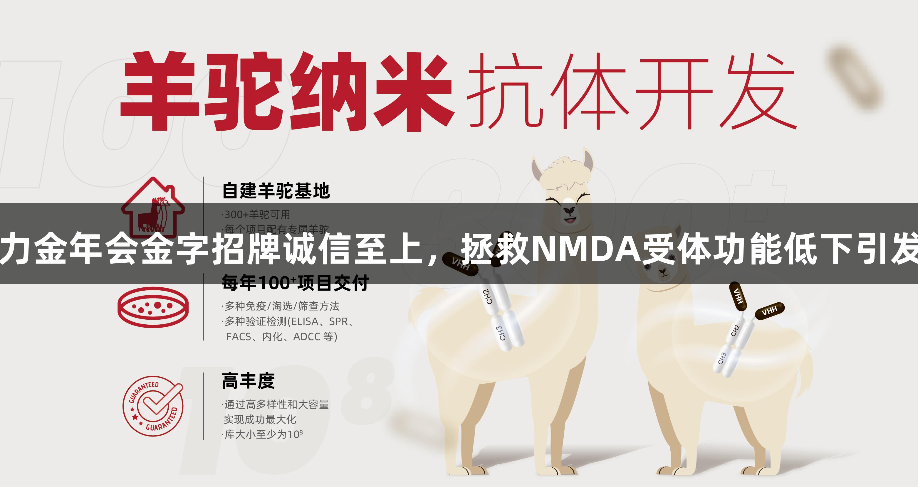 纳米抗体疗法助力金年会金字招牌诚信至上，拯救NMDA受体功能低下引发的神经行为缺陷