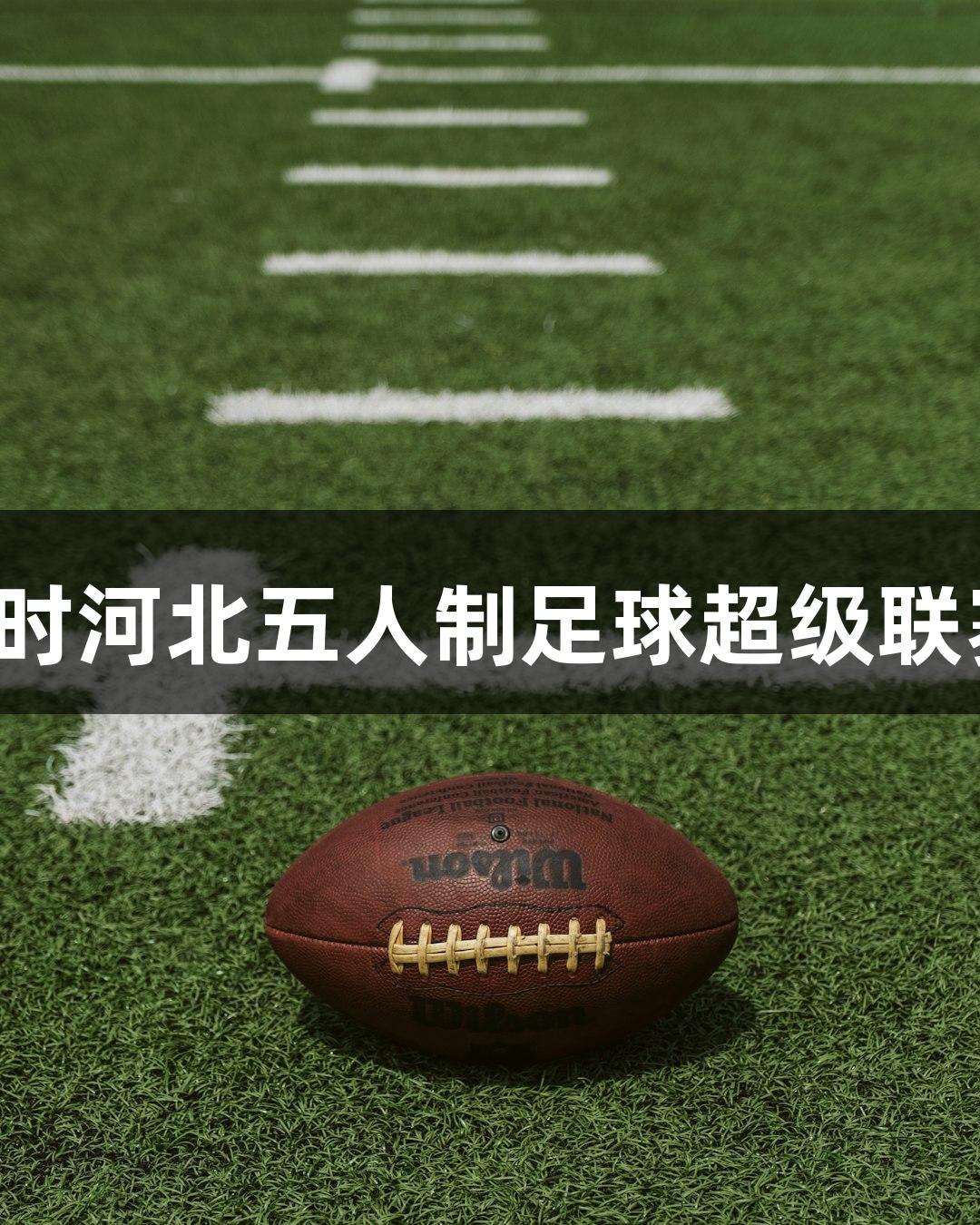 2025年尊龙凯时河北五人制足球超级联赛8月10日开幕