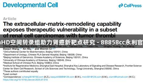 VisiumHD空间转录组助力肾癌新靶点研究 - 88858cc永利官网解析