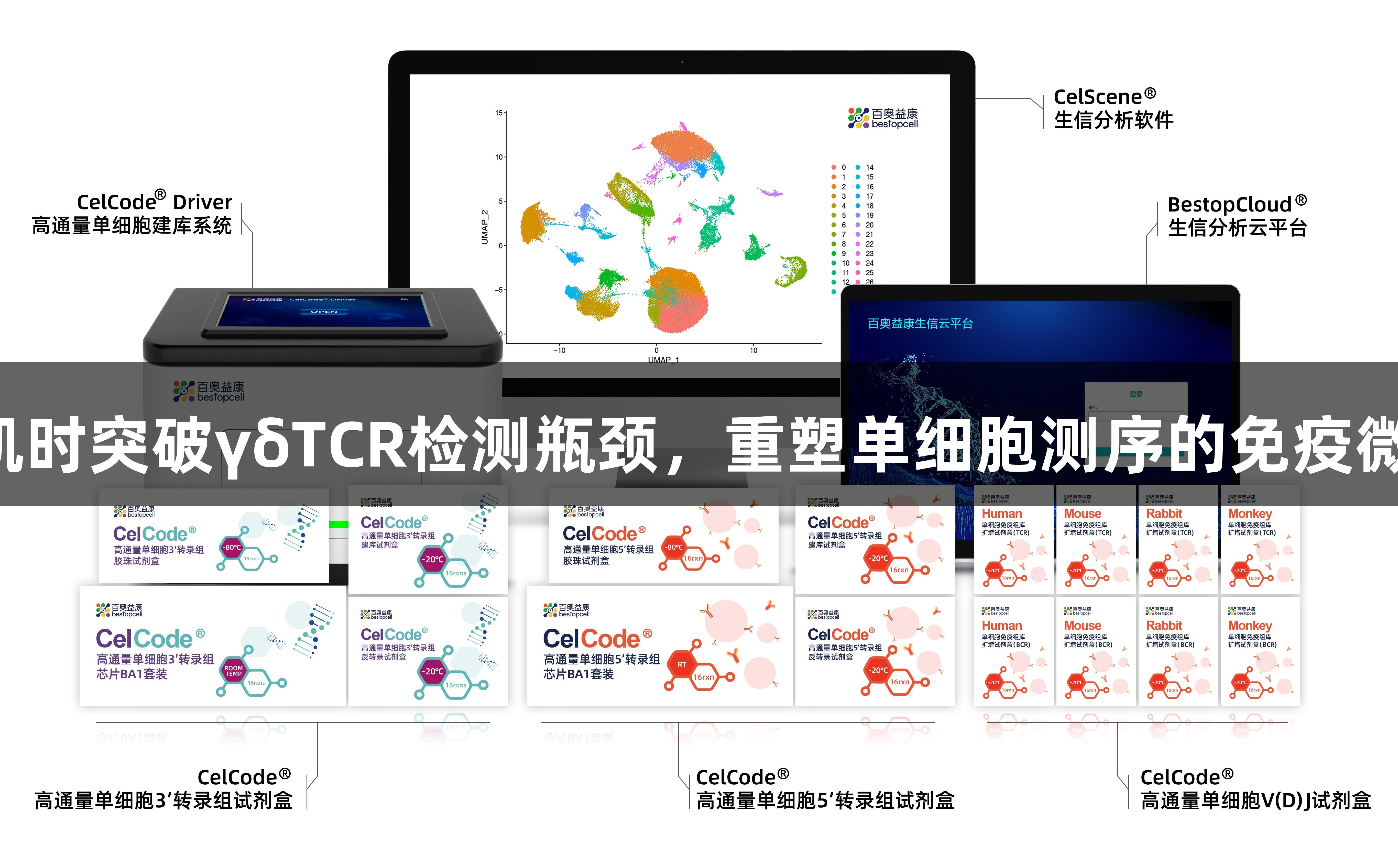Z6·尊龙凯时突破γδTCR检测瓶颈，重塑单细胞测序的免疫微环境全貌