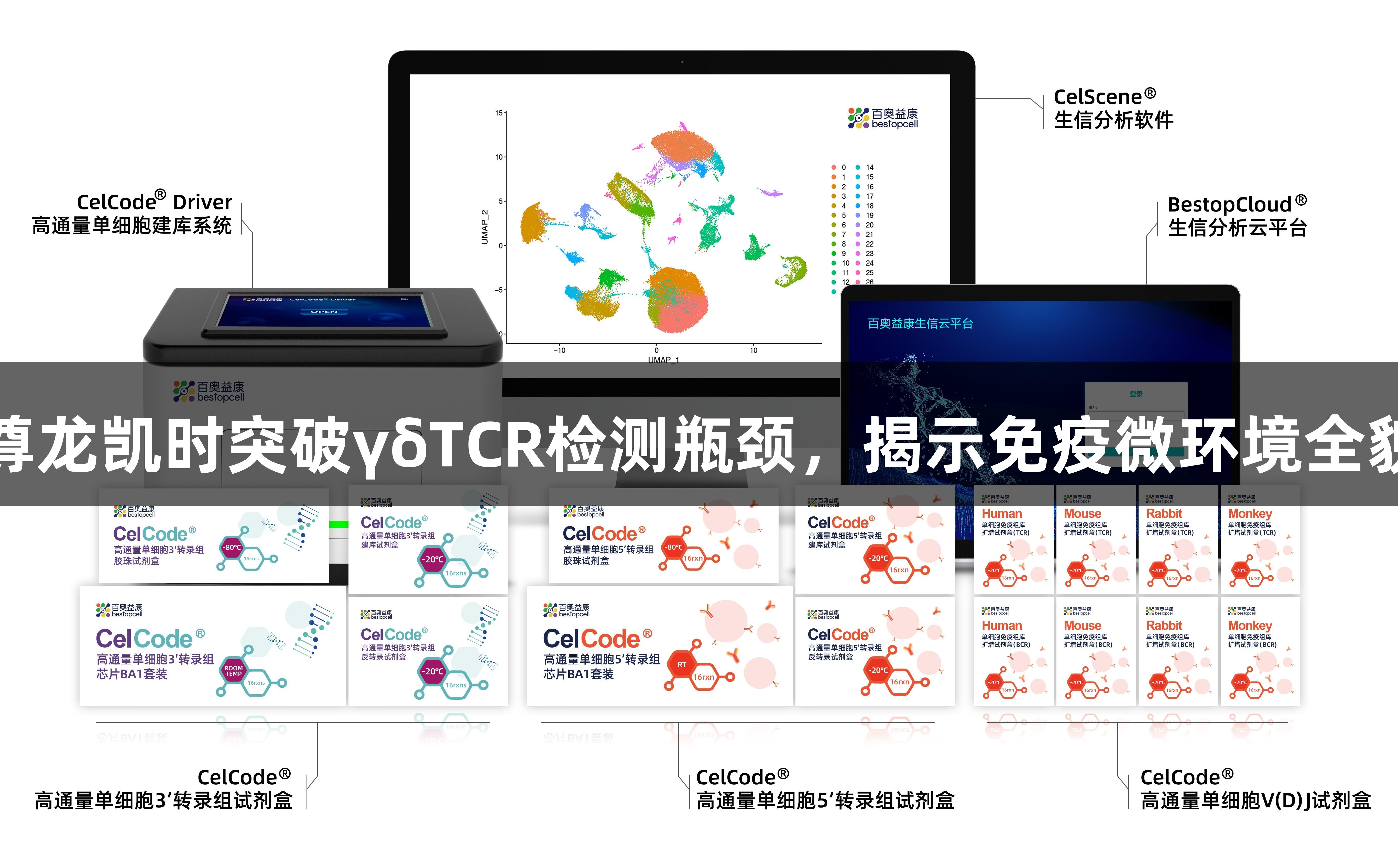 尊龙凯时突破γδTCR检测瓶颈，揭示免疫微环境全貌