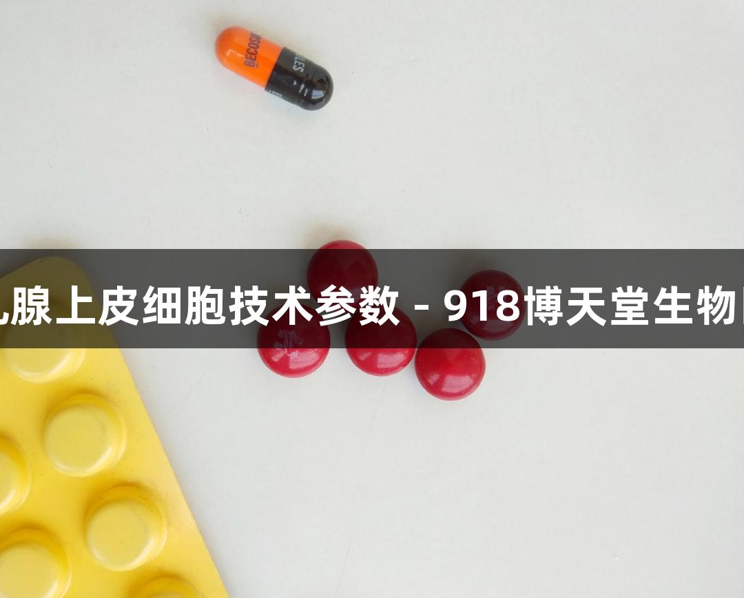 羊原代乳腺上皮细胞技术参数 - 918博天堂生物医疗解析
