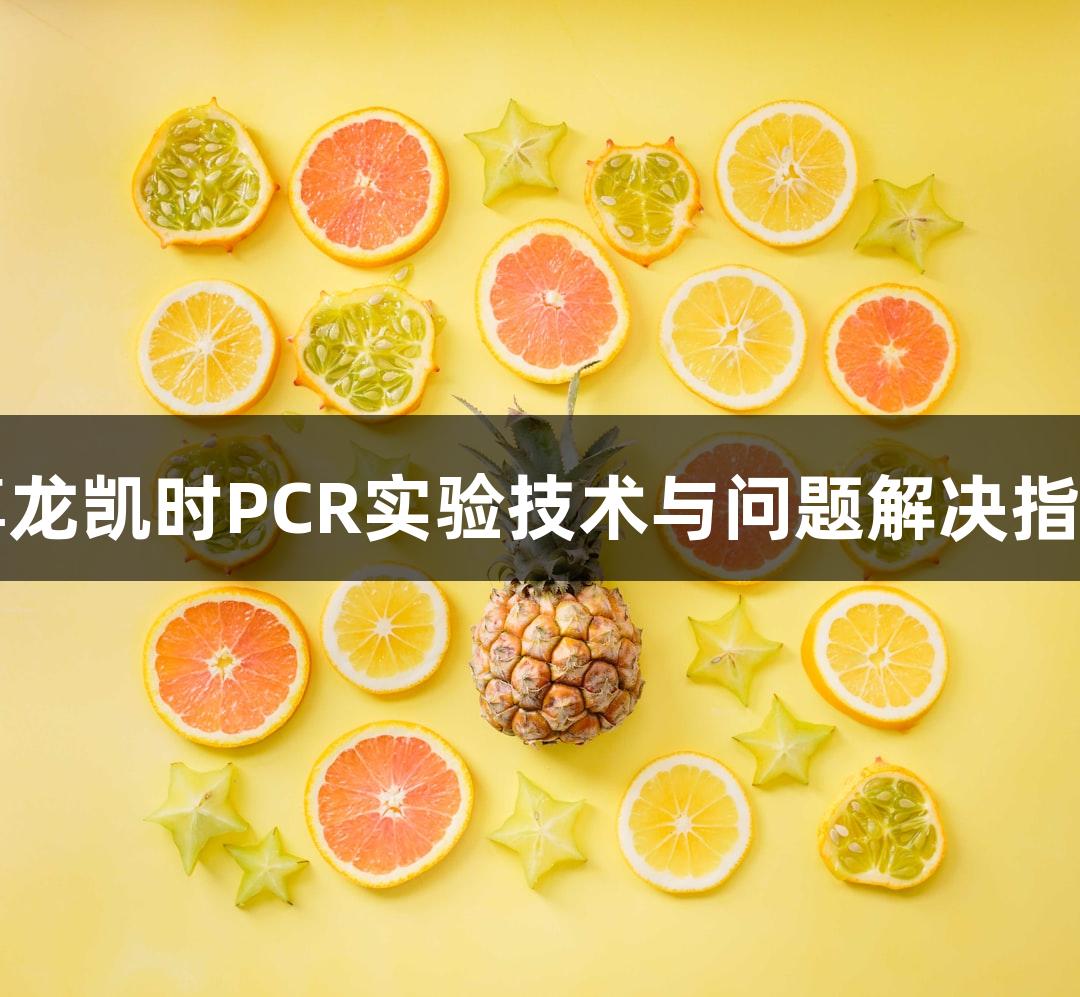 尊龙凯时PCR实验技术与问题解决指南