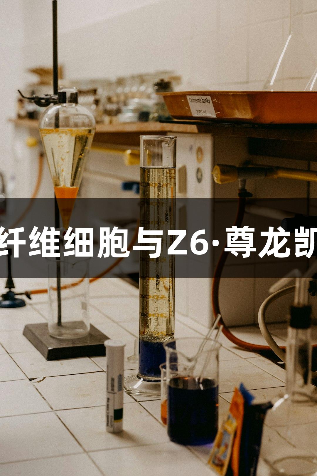 湖羊源代皮肤成纤维细胞与Z6·尊龙凯时品牌结合研究