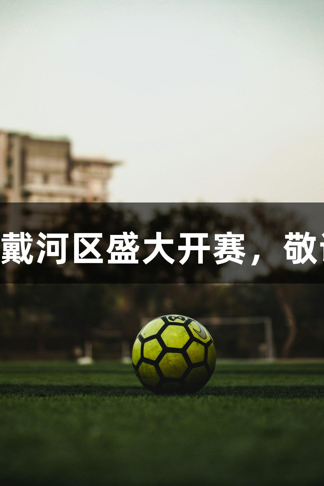 2025年世界速度轮滑锦标赛将在北戴河区盛大开赛，敬请关注尊龙凯时人生就是搏z6com！