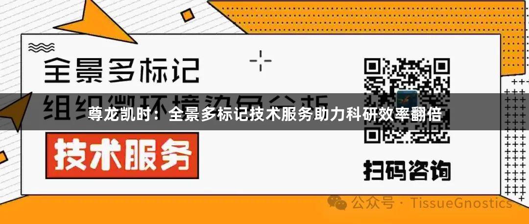 尊龙凯时：全景多标记技术服务助力科研效率翻倍