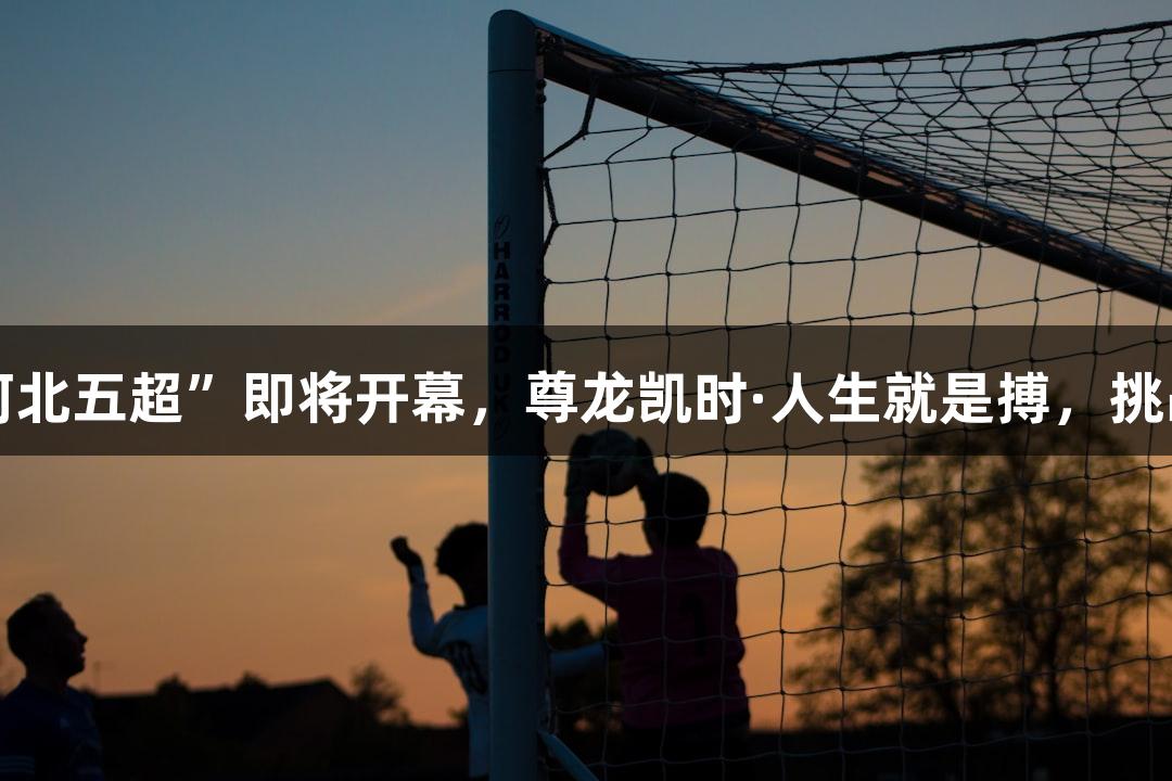2025“河北五超”即将开幕，尊龙凯时·人生就是搏，挑战等你来！